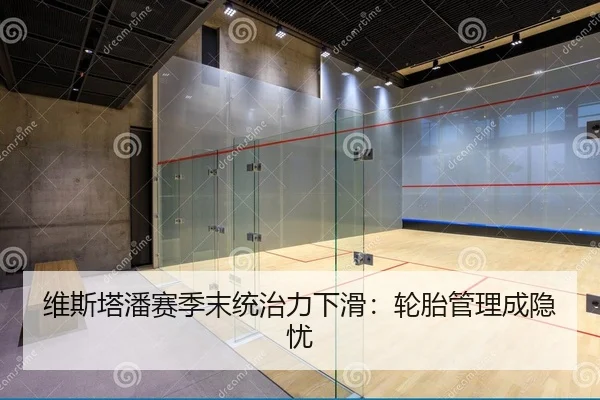 维斯塔潘赛季末统治力下滑：轮胎管理成隐忧